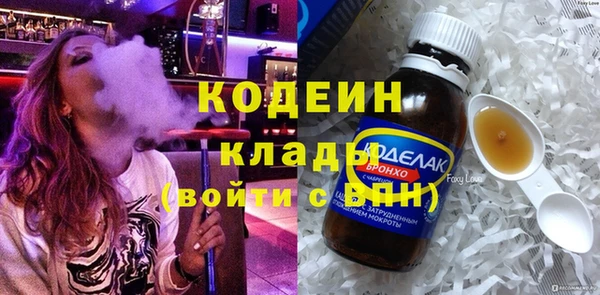 СК Елизово
