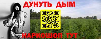 бошки Будённовск