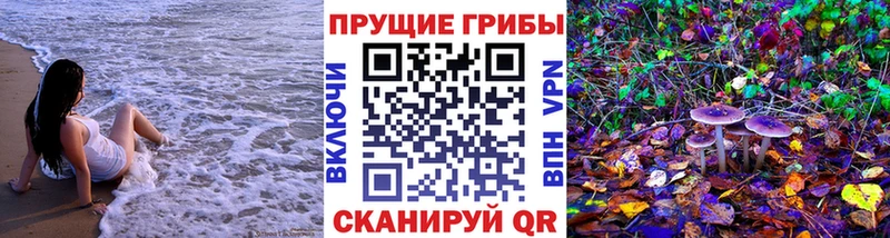 Псилоцибиновые грибы прущие грибы  Ленинск-Кузнецкий 