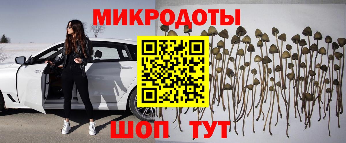 Галлюциногенные грибы Magic Shrooms  Вход с VPN  Псилоцибиновые грибы Cubensis  Ленинск-Кузнецкий 